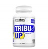 FITMAX TRIBU UP 120 CAPSULES